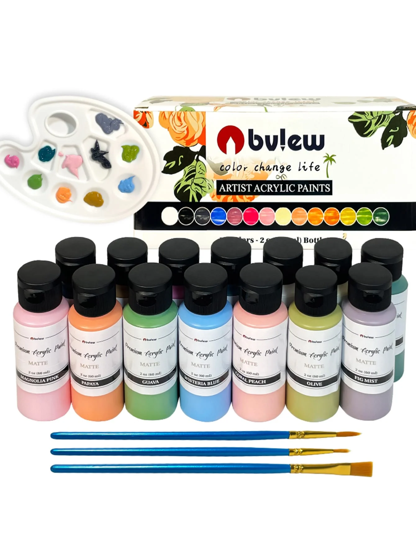 Bview Art 14 Colors-2oz（60ml）Bottles Professional painting paint set